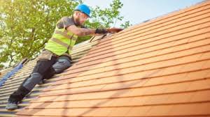 Best Roof Moss and Algae Removal  in Riley, KS